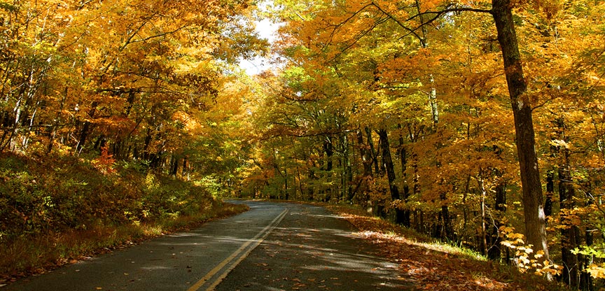 Oct 24 | Wolf Creek Runs Wild