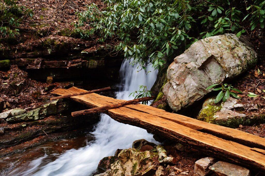May 16 | Trail Day Experience at Mill Creek